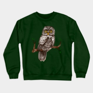 Owl Crewneck Sweatshirt